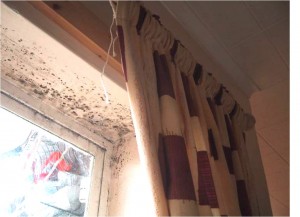 Condensation Mould Growth Around Window