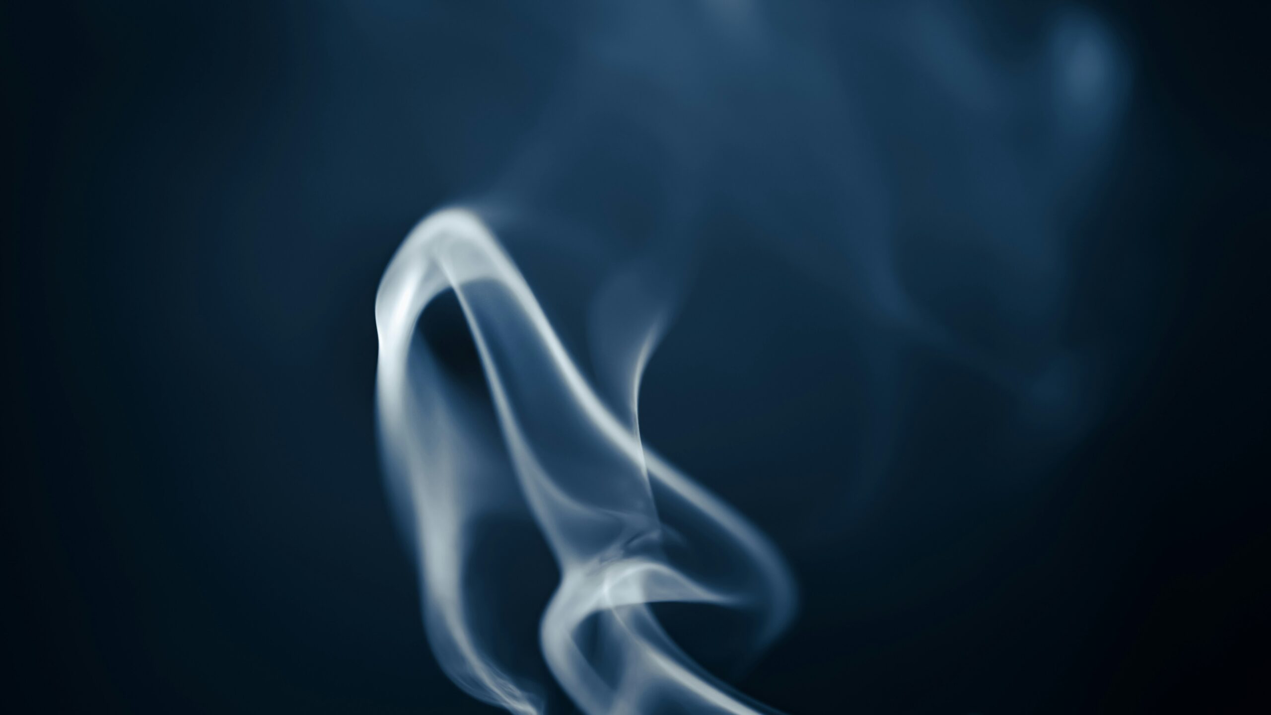 Carbon Monoxide Radon